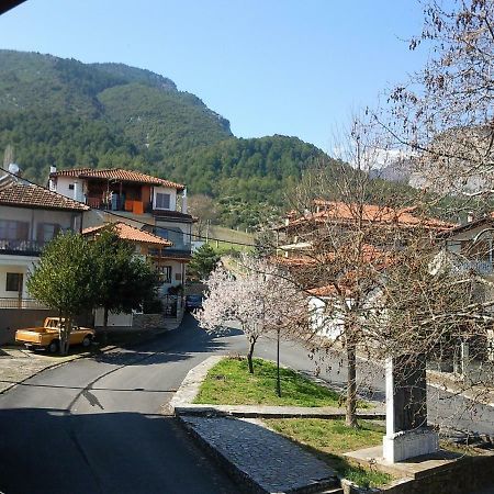Apartment With View At Olympus Mountain Litochoron Bagian luar foto
